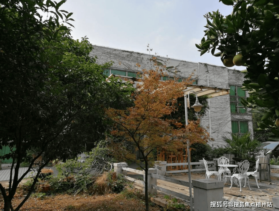 区胜太科技园物业公司是哪家呀物业直租免中介费瓦力棋牌试玩2025年 南京江宁经济技术开发(图1)