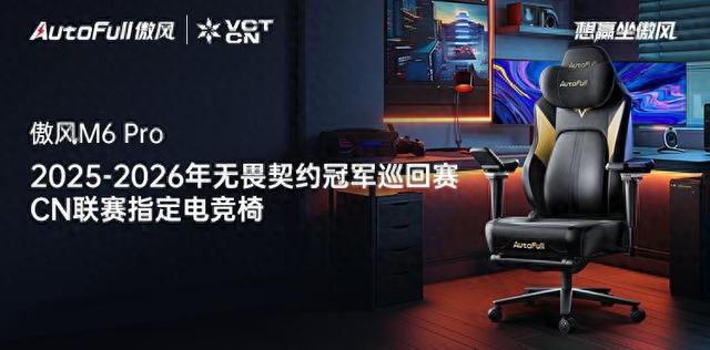 6无畏契约冠军巡回赛CN联赛指定电竞椅瓦力棋牌傲风正式成为2025-202(图5)